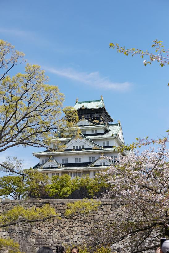 东京电机大学世界排名第几